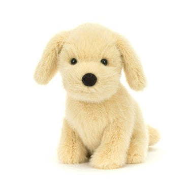 Golden Puppy