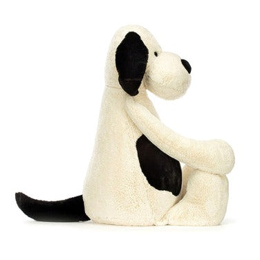 Bashful Black & Cream Puppy