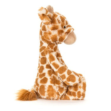 Bashful Giraffe