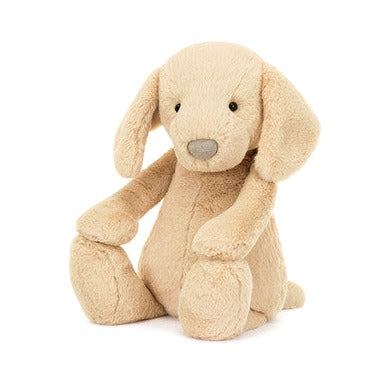 Bashful Luxe Puppy Orlando