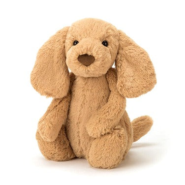 Bashful Toffee Puppy