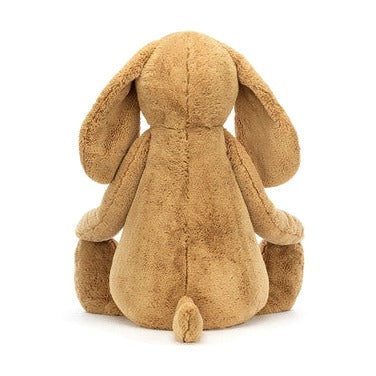 Bashful Toffee Puppy