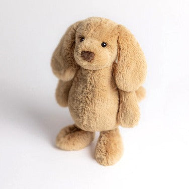 Bashful Toffee Puppy