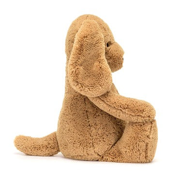 Bashful Toffee Puppy