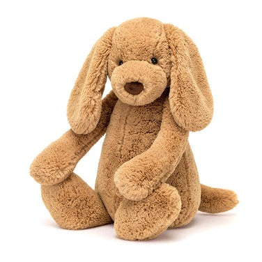 Bashful Toffee Puppy