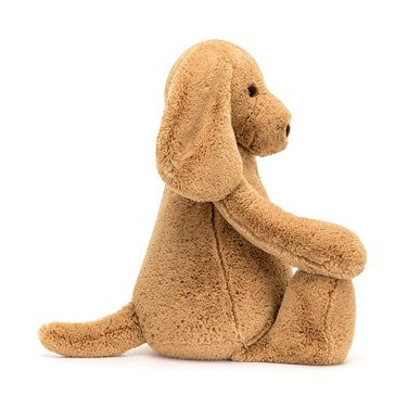 Bashful Toffee Puppy