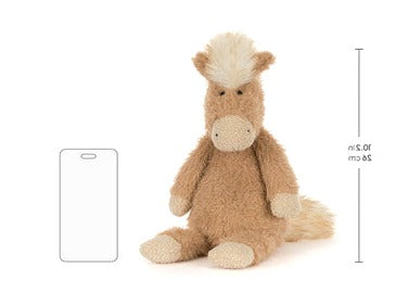 Canterneigh Pony