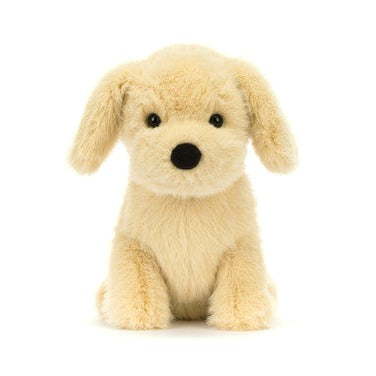 Golden Puppy