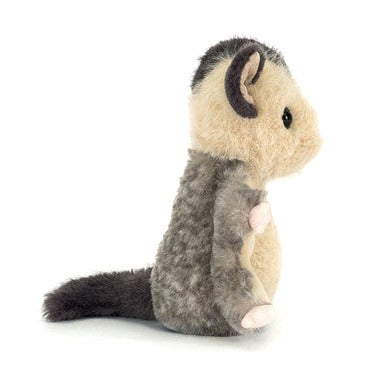Lolly Sugar Glider