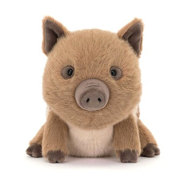 Swinley Boar