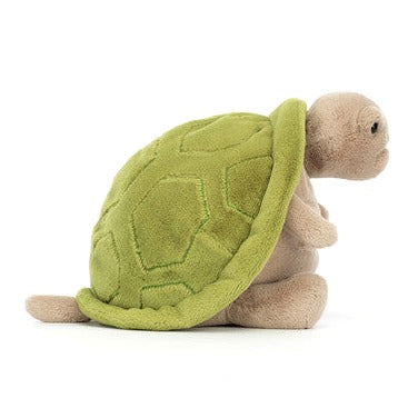 Timmy Turtle