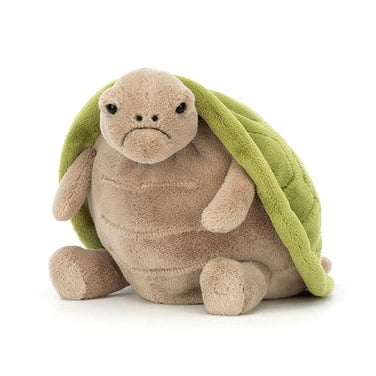 Timmy Turtle