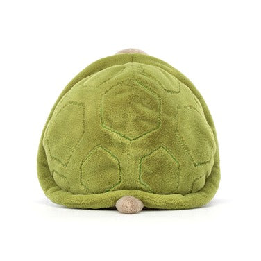 Timmy Turtle