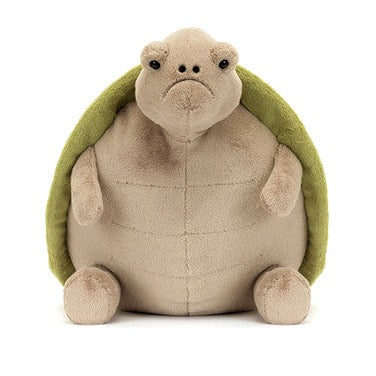 Timmy Turtle